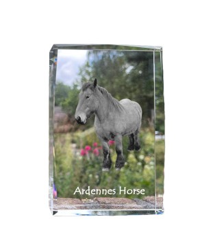 Cheval des Ardennes - cristal avec une photo de cheval, photo sous verre, exposition moderne de la marque de photos Art-Dog