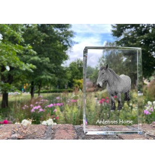 Ardenner Pferd - Kristall mit einem Pferdebild, Bild im Glas, moderne Ausstellung des Art-Dog-Bildes.