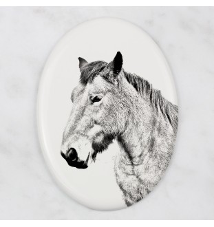 Ardennes Horse - commemorative plaque with a photo of a horse, tombstone plaque with a print, personalized oval plaque by Art-Dog brand