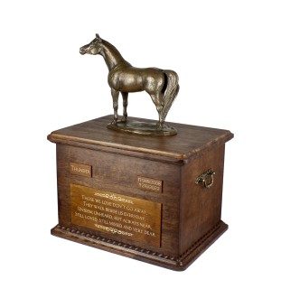 Australian Stock Horse - urn for horse ashes with a statuette, personalized urn with engraving, large box for horse ashes from the Art-Dog brand
