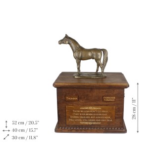 Australian Stock Horse - urn for horse ashes with a statuette, personalized urn with engraving, large box for horse ashes from the Art-Dog brand