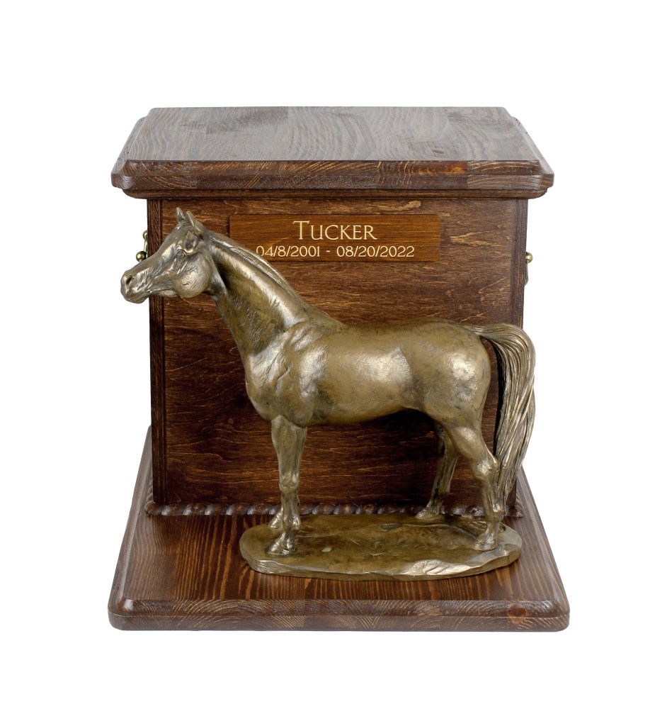 Australian Stock Horse - urn for horse ashes with a statuette, personalized urn with engraving, large box for horse ashes from the Art-Dog brand