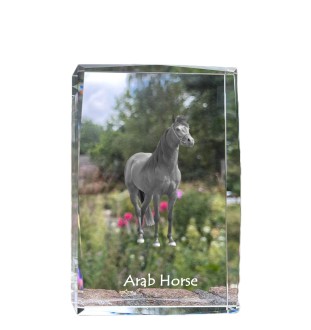 Arab Horse - crystal with a picture of a horse, photo in glass, modern exhibition of Art-Dog brand photo