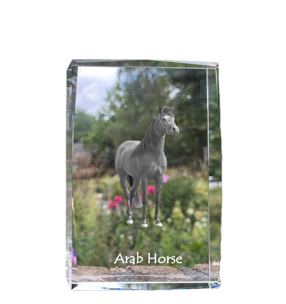 Arab Horse - crystal with a picture of a horse, photo in glass, modern exhibition of Art-Dog brand photo