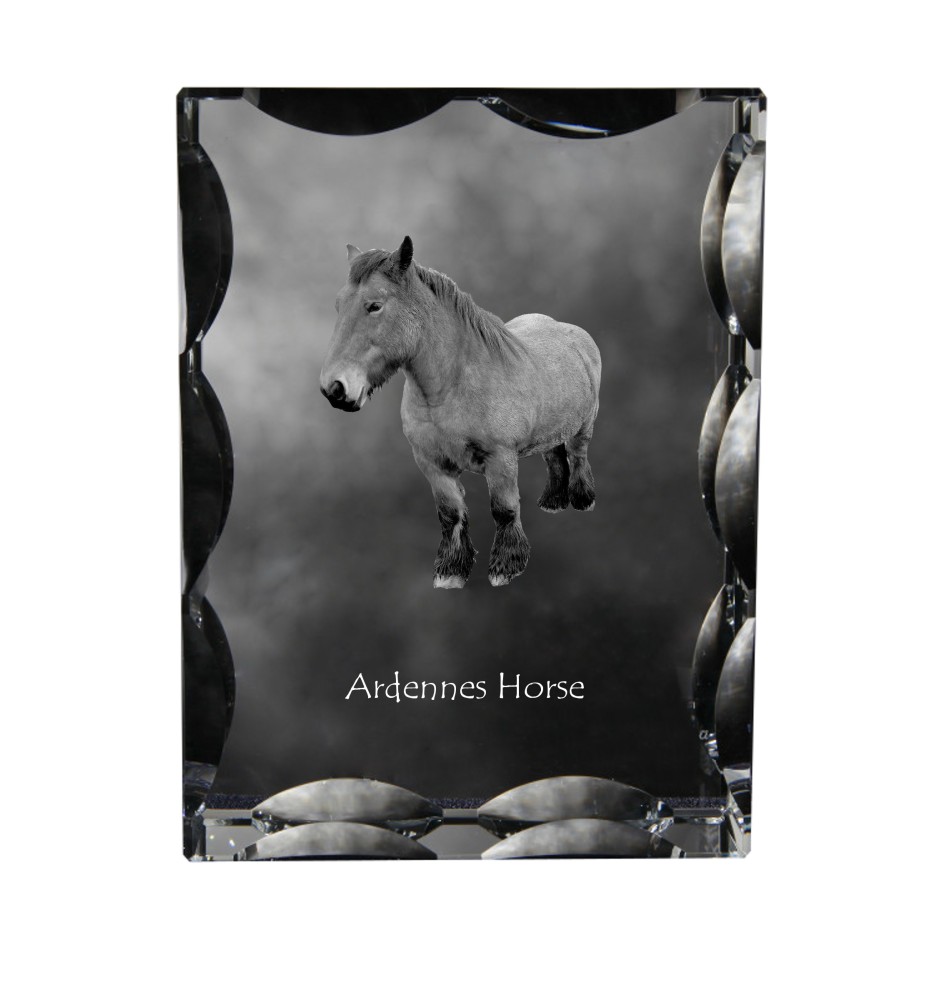 Ardenner Pferd - crystal with a picture of a horse, glass statuette with a picture, unique frame with a picture from Art-Dog brand