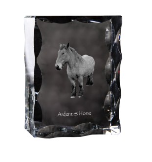 Ardenner Pferd - crystal with a picture of a horse, glass statuette with a picture, unique frame with a picture from Art-Dog brand