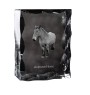 Ardennes Horse - kryształ ze zdjęciem konia, szklana statuetka ze zdjęciem, wyjątkowa ramka ze zdjęciem marki Art-Dog