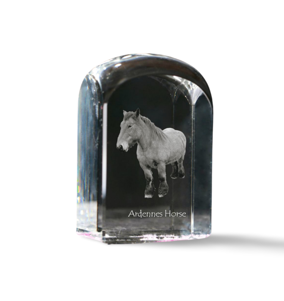 Ardenner Pferd - Kristallwürfel mit Bild, Pferdebild im Kristall, sechseckiger Papierclip der Marke Art-Dog