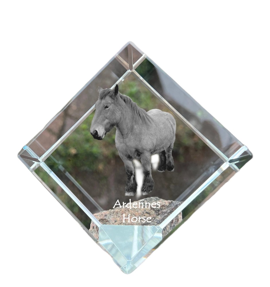 Ardennes Horse - crystal cube with a horse picture, horse picture in crystal, cubic paperweight from Art-Dog brand