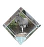 Ardennes Horse - crystal cube with a horse picture, horse picture in crystal, cubic paperweight from Art-Dog brand