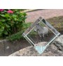 Cheval des Ardennes - un cube de cristal avec une photo de cheval, une photo de cheval dans le cristal, un presse-papiers cubique de la marque Art-Dog