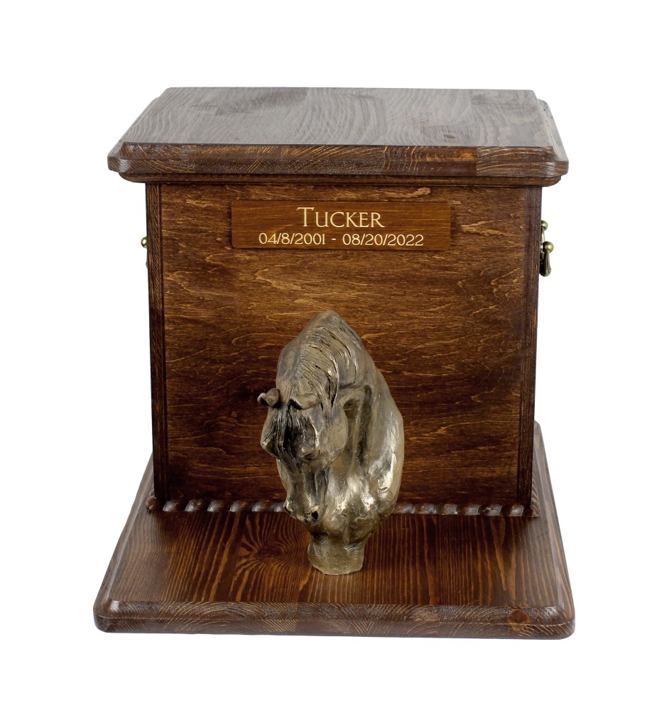 Australian Stock Horse - urn for horse ashes, personalized urn with a horse bust, large box for horse ashes by Art-Dog brand