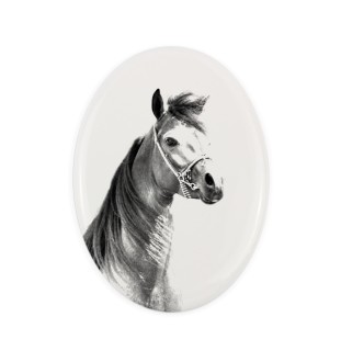 Arabisches Pferd - Gedenktafel mit einem Pferdefoto, Grabplatte mit Druck, personalisierte ovale Platte von Art-Dog.