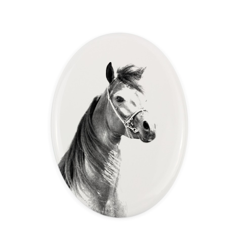 Koń czystej krwi arabskiej płyta nagrobna z koniem Art-Dog