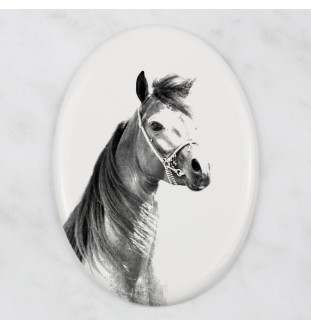 Cheval arabe - une plaque commémorative avec une photo de cheval, une plaque funéraire avec une impression, une plaque ovale personnalisée de la marque Art-Dog