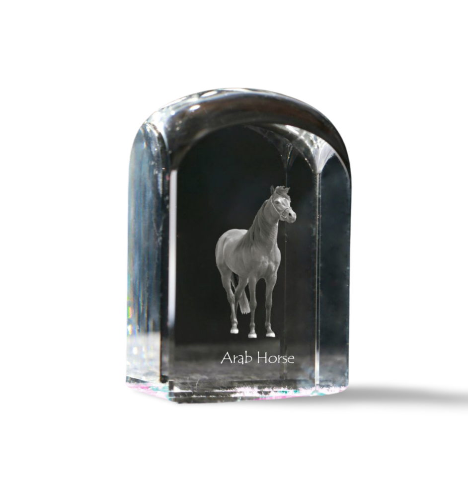 Arab Horse - crystal cube with a photo, photo of a horse in crystal, cubic paperweight from Art-Dog brand