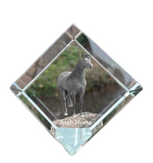 Arab Horse - crystal cube with a horse picture, horse picture in crystal, cubic paperweight from Art-Dog brand