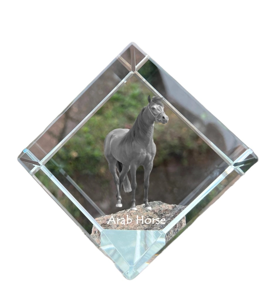 Arab Horse - crystal cube with a horse picture, horse picture in crystal, cubic paperweight from Art-Dog brand