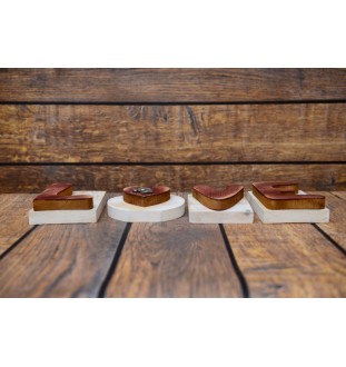 Australisches Zuchtpferd #OBL!