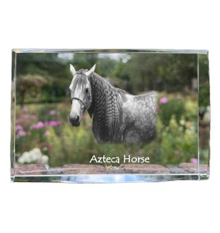 Cheval Azteca - cristal avec une photo de cheval, photo sous verre, exposition moderne de la marque de photos Art-Dog