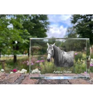 Cheval Azteca - cristal avec une photo de cheval, photo sous verre, exposition moderne de la marque de photos Art-Dog