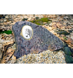 Aztekenpferd - Gedenktafel mit einem Pferdefoto, Grabplatte mit Druck, personalisierte ovale Platte von Art-Dog.