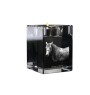 Cheval Azteca - Bougeoir avec image d'un cheval, porte bougie en cristal, cadeau personnalisé par la marque Art-Dog