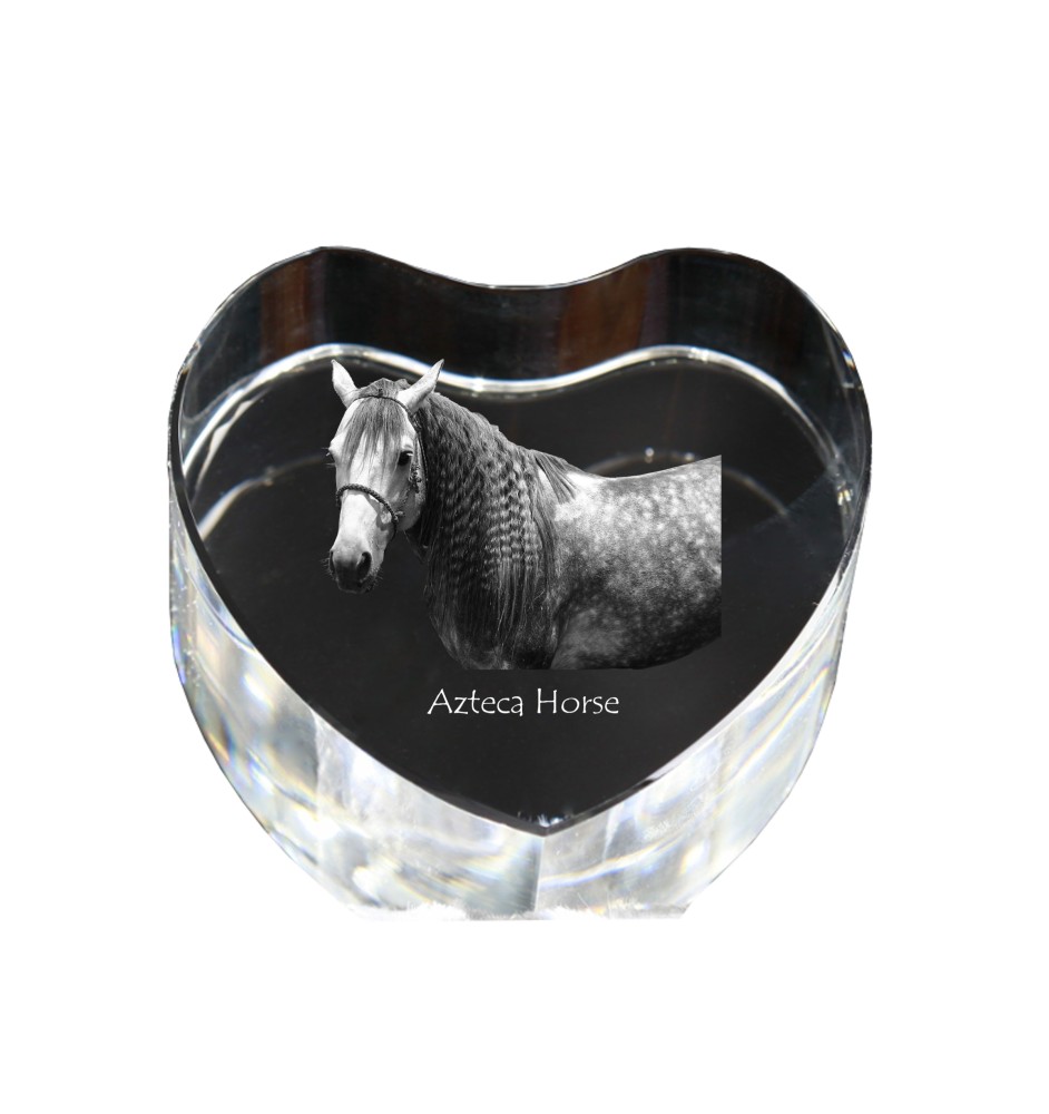 Azteca Horse - a photo of a horse in crystal, a crystal heart, a unique frame with a photo from the Art-Dog brand