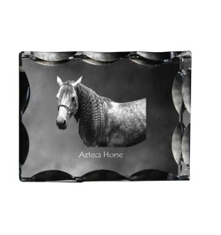 Aztekenpferd - crystal with a picture of a horse, glass statuette with a picture, unique frame with a picture from Art-Dog brand