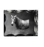 Azteca Horse - kryształ ze zdjęciem konia, szklana statuetka ze zdjęciem, wyjątkowa ramka ze zdjęciem marki Art-Dog