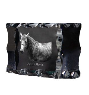 Aztekenpferd - crystal with a picture of a horse, glass statuette with a picture, unique frame with a picture from Art-Dog brand