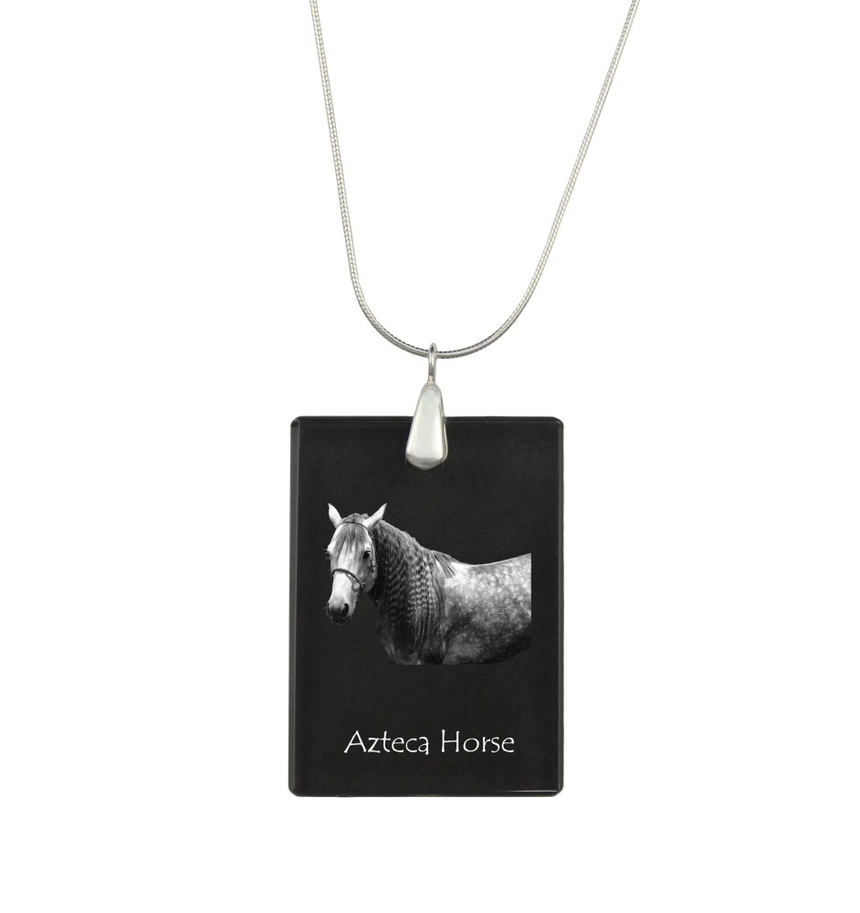 Azteca Horse - Crystal pendant with horse, silver necklace with photo, personalised pendant by Art-Dog brand