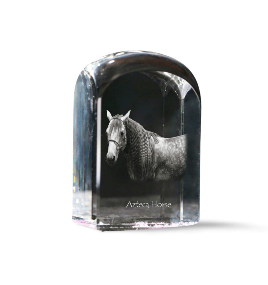 Azteca Horse - crystal cube with a photo, photo of a horse in crystal, cubic paperweight from Art-Dog brand