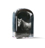 Cheval Azteca - un cube de cristal avec une photo, une photo de cheval dans le cristal, un presse-papiers cubique de la marque Art-Dog
