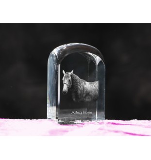 Cheval Azteca - un cube de cristal avec une photo, une photo de cheval dans le cristal, un presse-papiers cubique de la marque Art-Dog