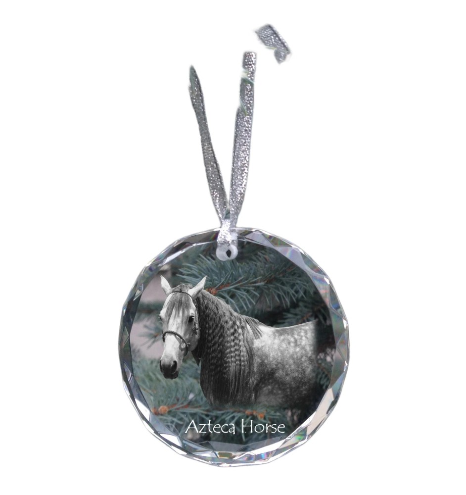 Cheval Azteca - boule de Noël en cristal avec une photo, photo de cheval dans le cristal, décoration personnalisée pour sapin de Noël de la marque Art-Dog