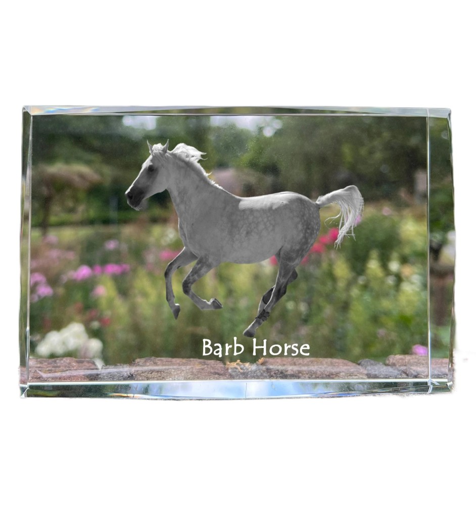 Barb-Pferd - Kristall mit einem Pferdebild, Bild im Glas, moderne Ausstellung des Art-Dog-Bildes.