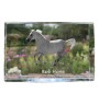 Cheval de Barbarie - cristal avec une photo de cheval, photo sous verre, exposition moderne de la marque de photos Art-Dog