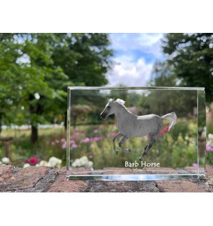 Barb Horse - crystal with a picture of a horse, photo in glass, modern exhibition of Art-Dog brand photo