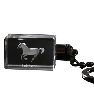 Barb Horse - Crystal pendant with photo of a horse, illuminated pendant, unique gift by Art-Dog brand