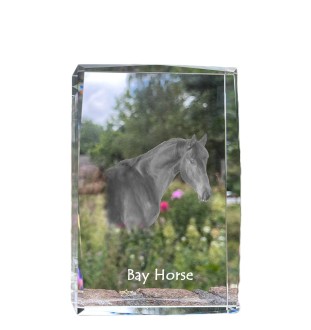 Braunes Pferd - Kristall mit einem Pferdebild, Bild im Glas, moderne Ausstellung des Art-Dog-Bildes.