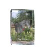 Cheval bai - cristal avec une photo de cheval, photo sous verre, exposition moderne de la marque de photos Art-Dog