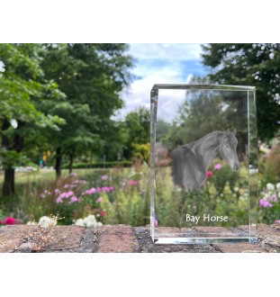 Cheval bai - cristal avec une photo de cheval, photo sous verre, exposition moderne de la marque de photos Art-Dog