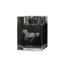 Barb Horse - Candle holder with picture of a horse, crystal tealight holder, personalised gift by Art-Dog brand
