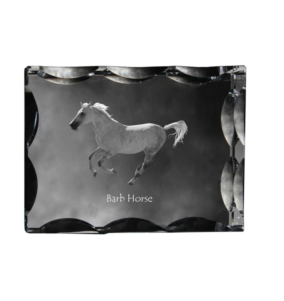 Barb Horse - kryształ ze zdjęciem konia, szklana statuetka ze zdjęciem, wyjątkowa ramka ze zdjęciem marki Art-Dog