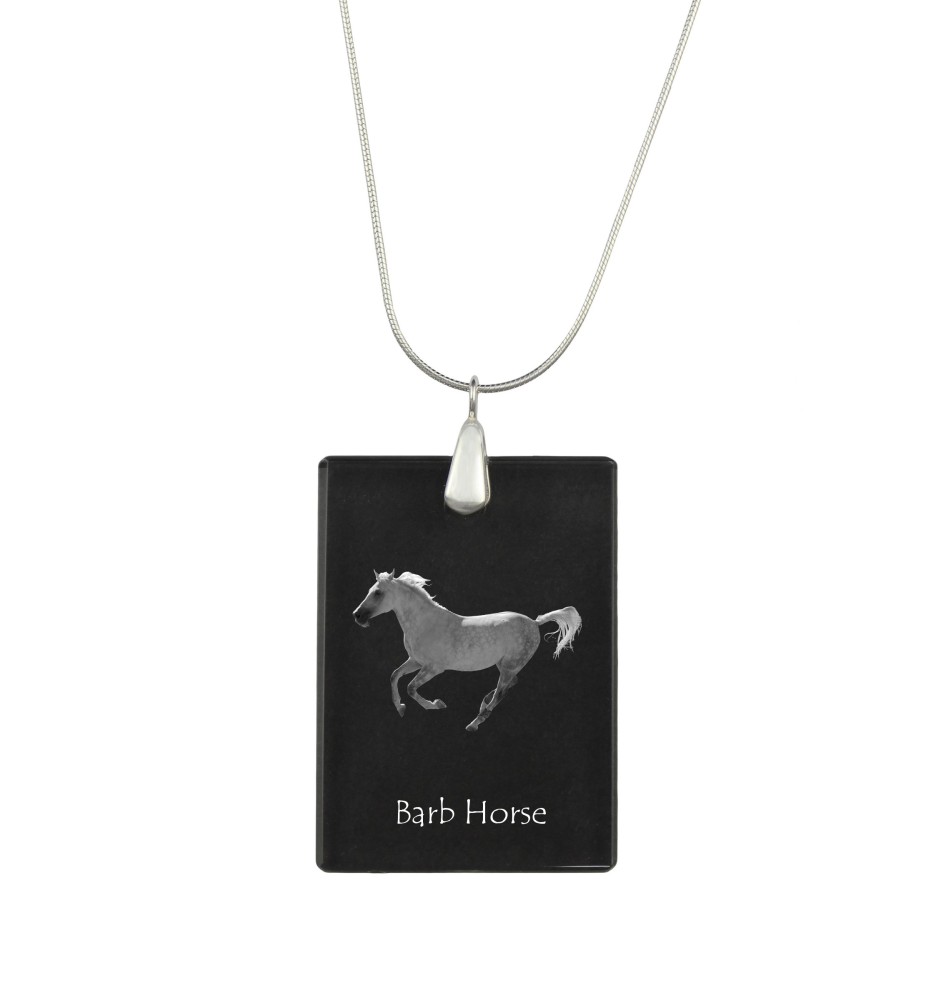 Barb Horse - Crystal pendant with horse, silver necklace with photo, personalised pendant by Art-Dog brand