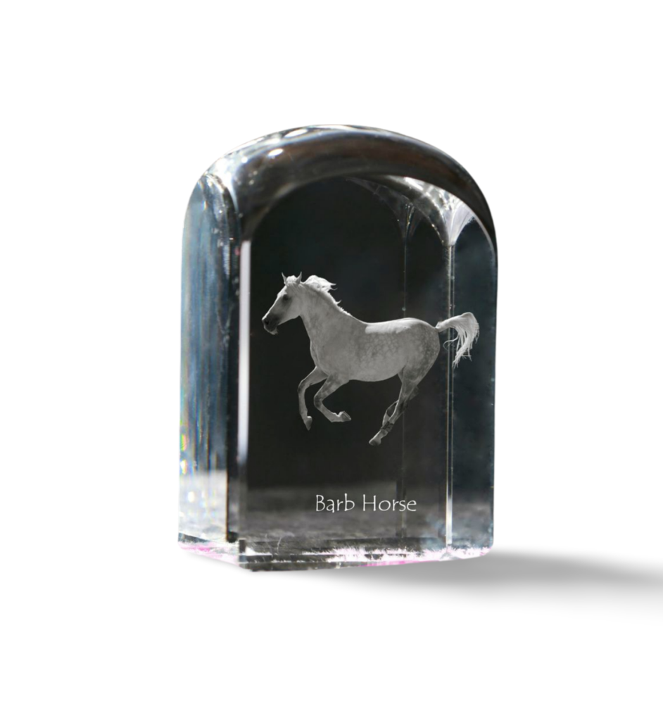 Cheval de Barbarie - un cube de cristal avec une photo, une photo de cheval dans le cristal, un presse-papiers cubique de la marque Art-Dog