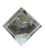 Barb Horse - crystal cube with a horse picture, horse picture in crystal, cubic paperweight from Art-Dog brand
