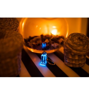 Bay Horse - Crystal pendant with photo of a horse, illuminated pendant, unique gift by Art-Dog brand