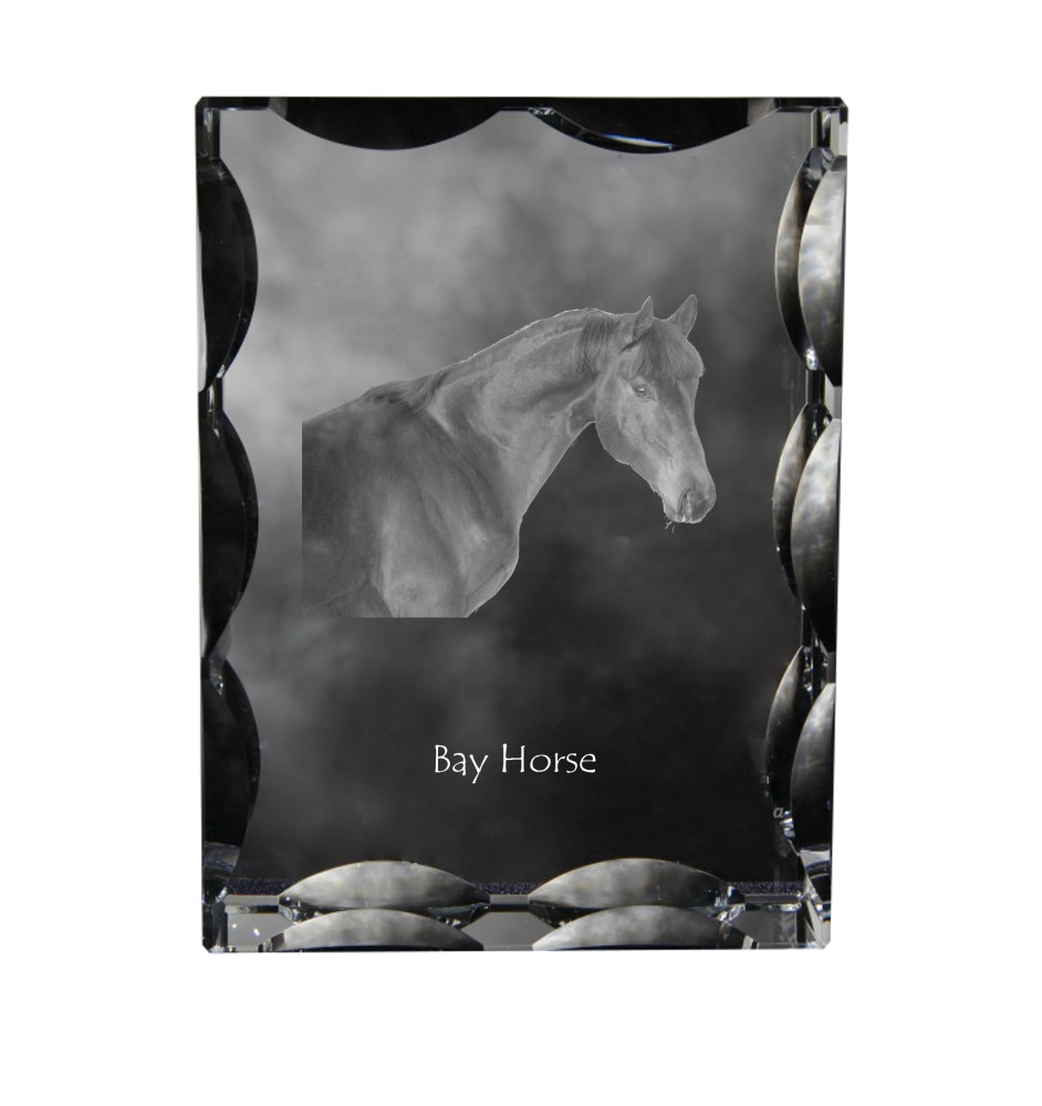 Braunes Pferd - crystal with a picture of a horse, glass statuette with a picture, unique frame with a picture from Art-Dog brand